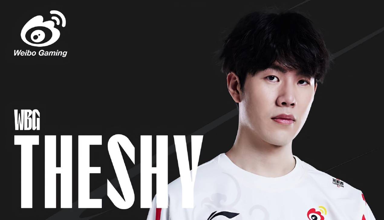 开云登录入口-theshy决赛116