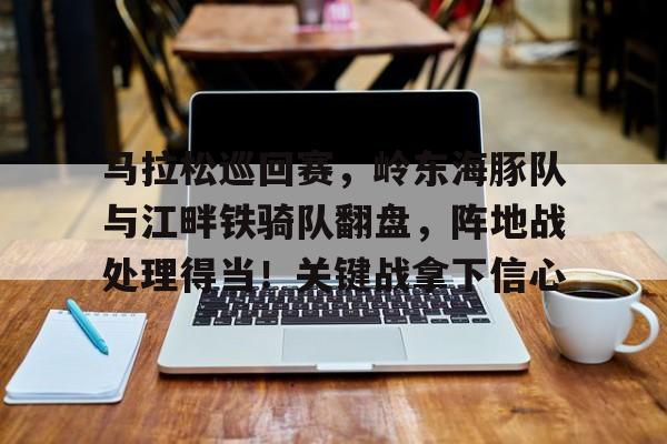 关于马拉松巡回赛，岭东海豚队与江畔铁骑队翻盘，阵地战处理得当！关键战拿下信心的信息